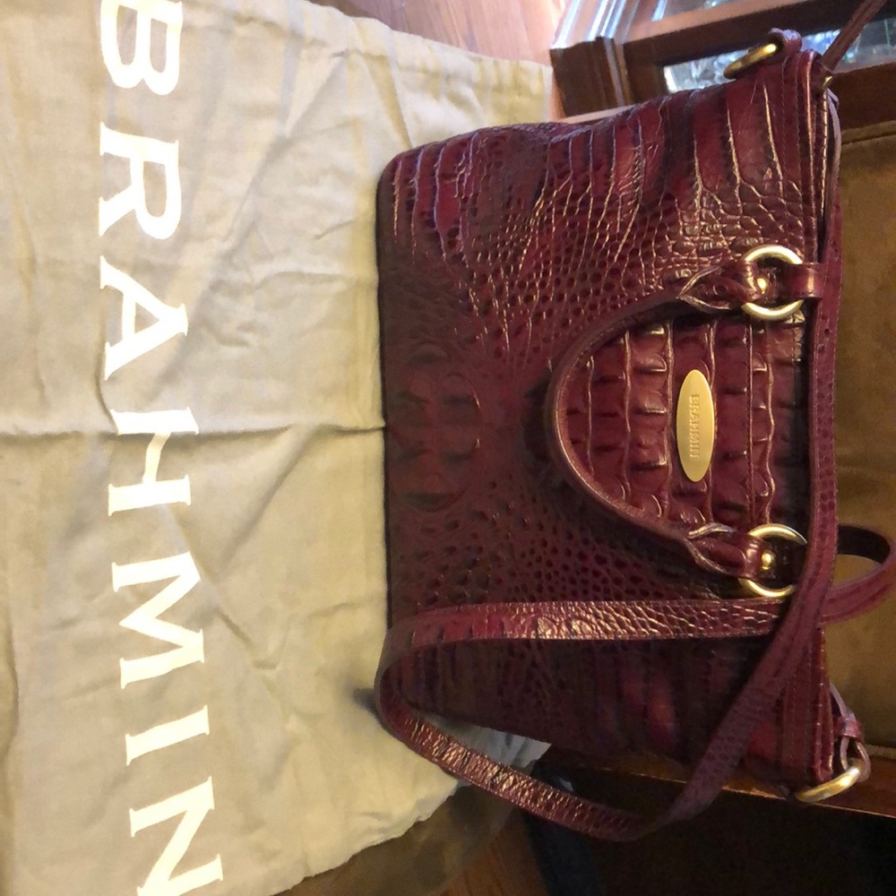 Brahmin Purse